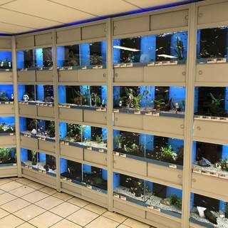 Dierenspeciaalzaak Pets Place 