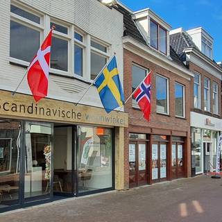 Scandinavische Woonwinkel