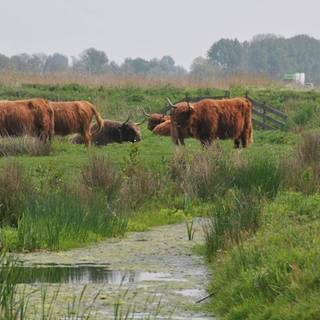 Tuinen en parken in Sneek