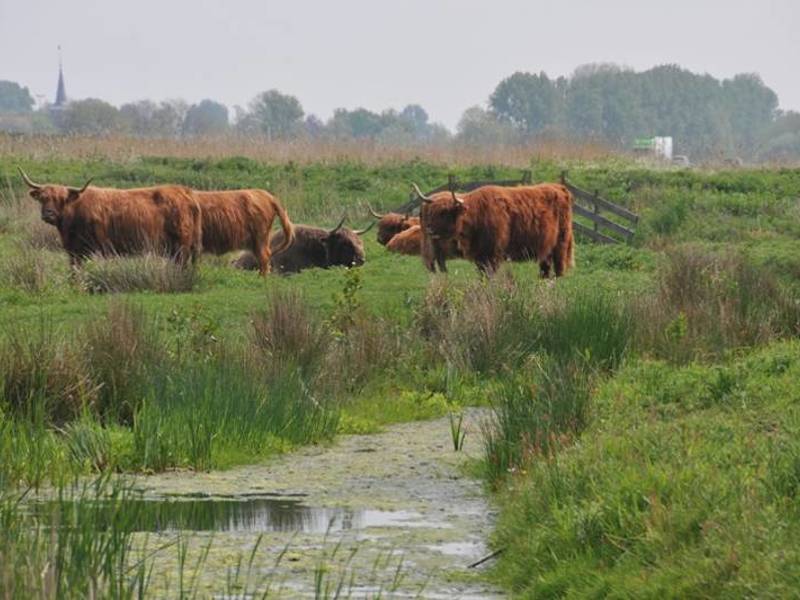 Gärten und Parks in Sneek